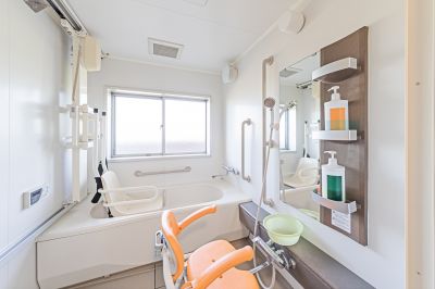 Senior Bath Safety detail